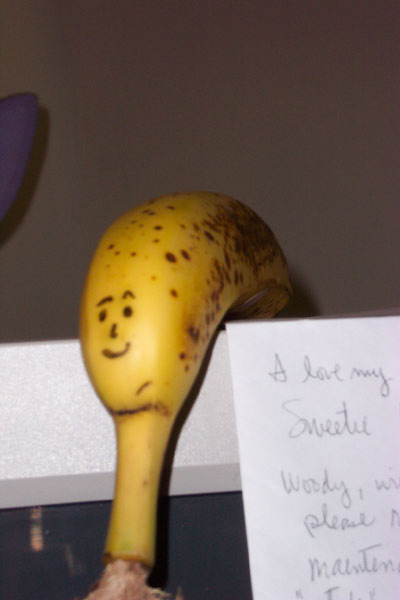 100_1936