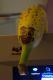 100_2138